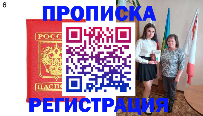 временная регистрация поиск в Камчатском крае